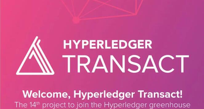 Hyperledger Transact 介绍