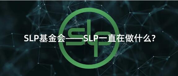 SLP基金会——SLP一直在做什么?