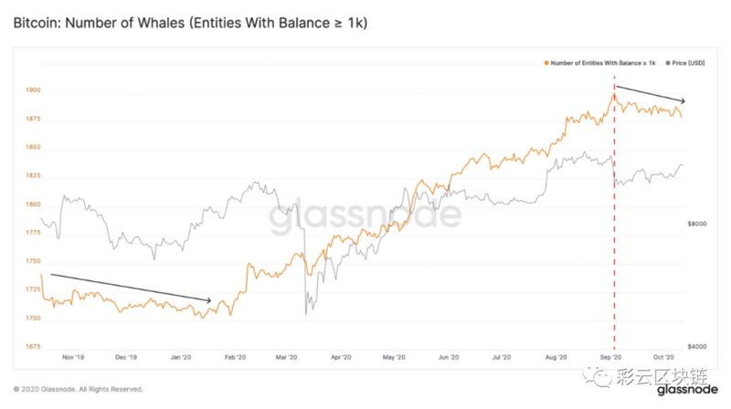 Glassnode：巨鲸增长放缓，比特币链上指标和价格现强力支撑_币世界+彩云区块链