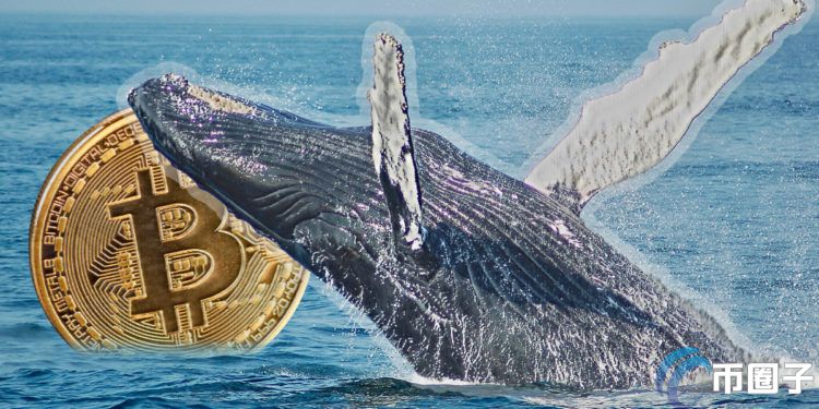 大户抄底！自比特币跌破40000以来 巨鲸已增持超20亿美元BTC筹码