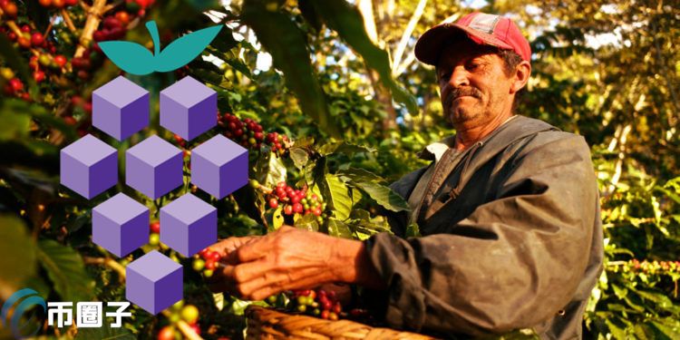 IBM区块链食品溯源Food Trust入驻洪都拉斯 助咖啡小农改善收入环境